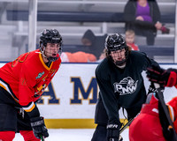 Windy City Woodpuckers vs Wildrose Brewing
