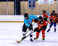 Reese's Cup D vs Free Agents D