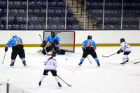 2:10pm  Sparkle Donkeys vs Ill. Guardians for Autism