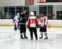 Goons vs Windy City Tomahawks