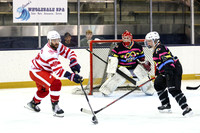Detroit Red Wings Alumni vs Pucks for Autism