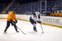 Mighty Pucks vs duneland Ducks