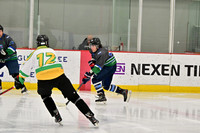 9:30am Chilliama vs Bowfin
