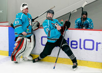 Saturday 12pm Mighty Nerds v Vertex Properties