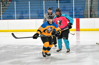 Mighty Pucks vs Crown Jewels