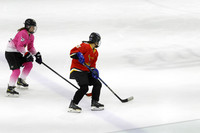 8pm Windy City Woodpuckers 1 vs Brewski's