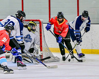 2:40pm Windy City Woodpuckers 1 vs Chgo Puck O'Holics