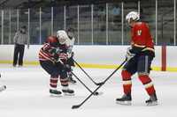 3:30pm Windy City Woodpuckers 3 vs Ill Guardians for Autism