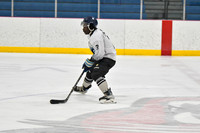 Unsolicited Stick Pics vs Mighty Pucks