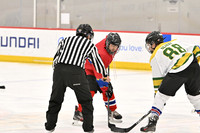 7:30pm Habs for Autism vs Chicago Dogs