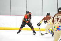 Riverhorse vs Jurassic Puck