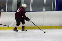 3pm Brewski's vs Mighty Ducks